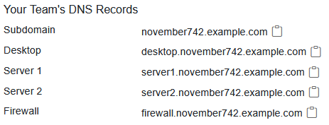 The Your Team's DNS Records” section is located under the "Status" section in the middle of the screen. In descending order, it lists the Subdomain, Desktop, Server 1, Server 2, and Firewall.