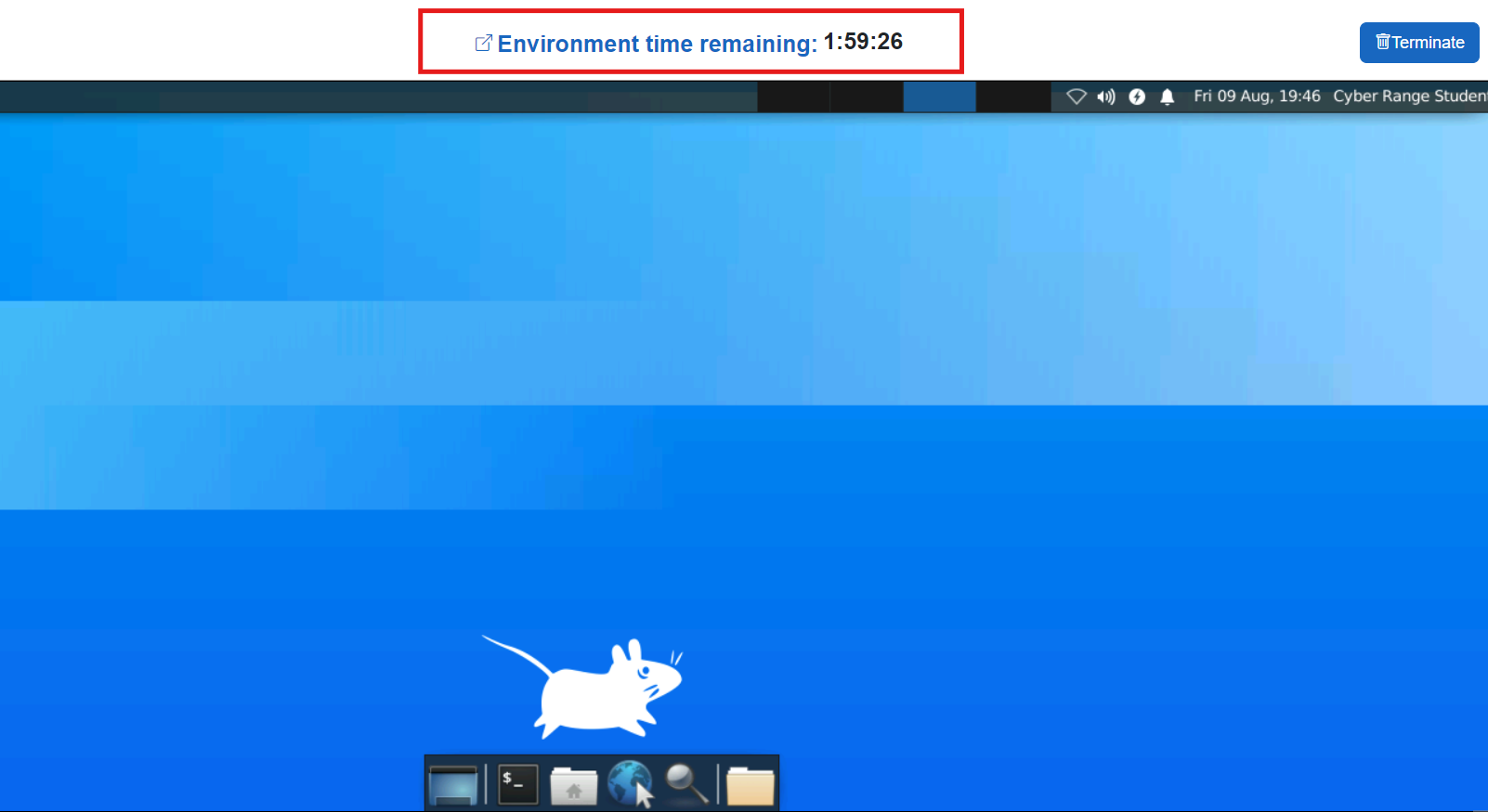 In the exercise environment, the environment time remaining is shown at the top, with a Terminate button to its right.